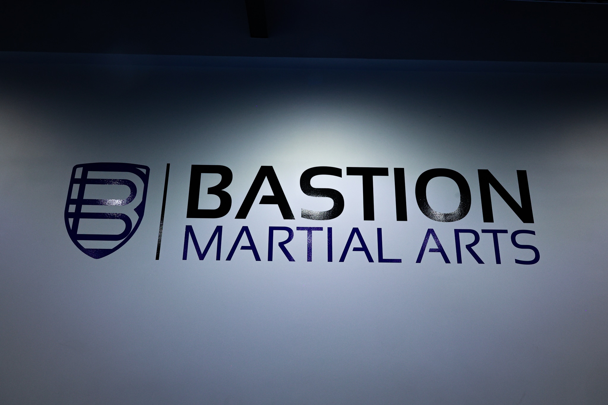 Bastion Martial Arts Blog