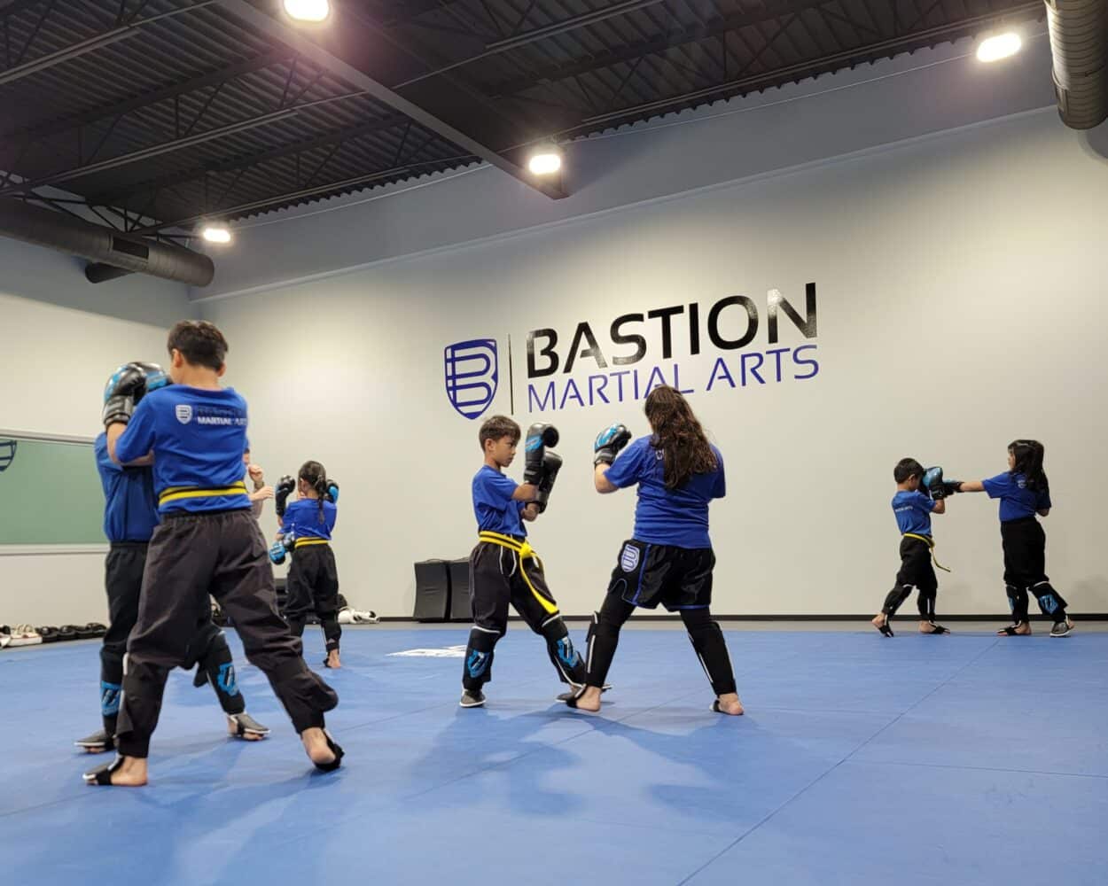 Bastion Martial Arts Kid's Program